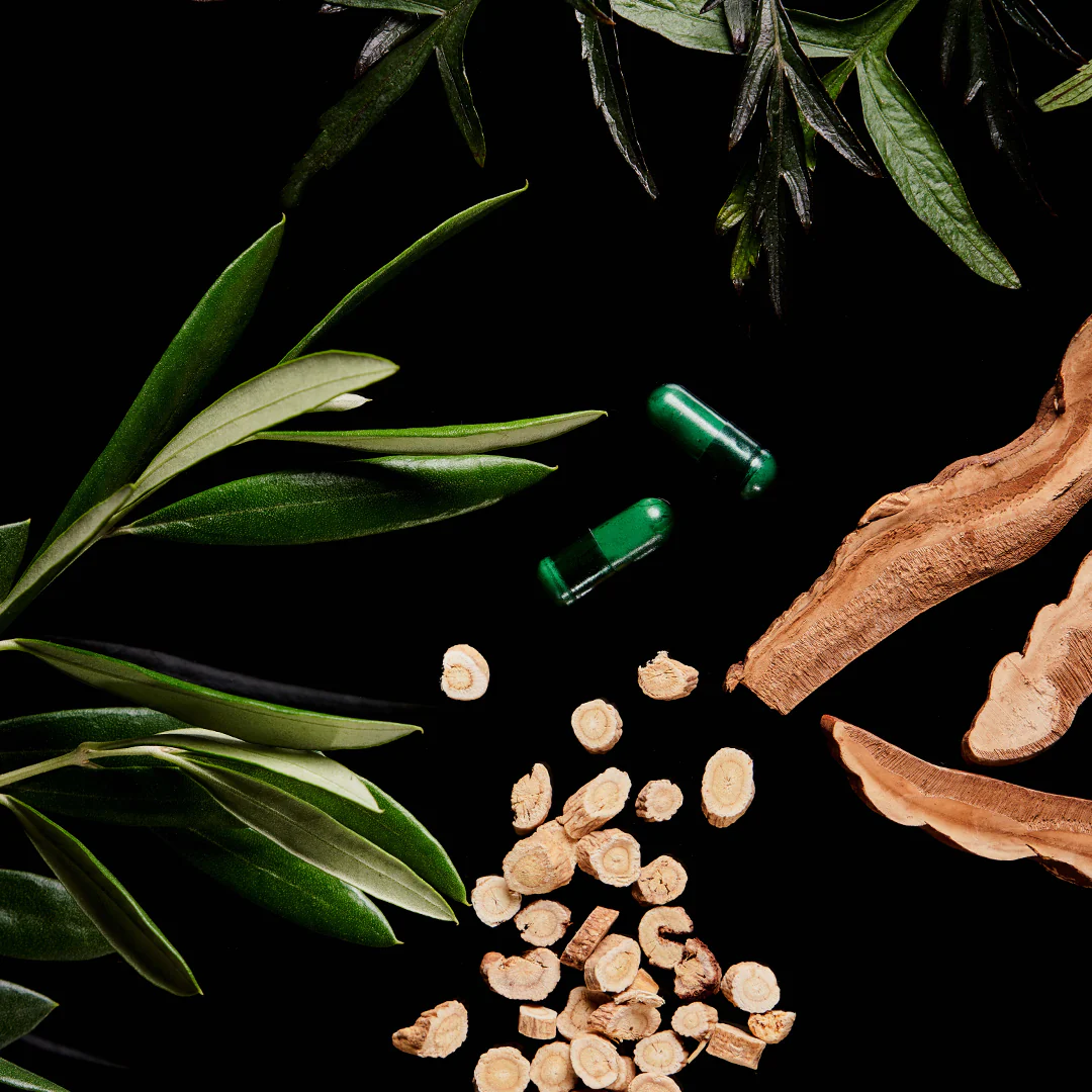 The Immune Elixir - Image 8