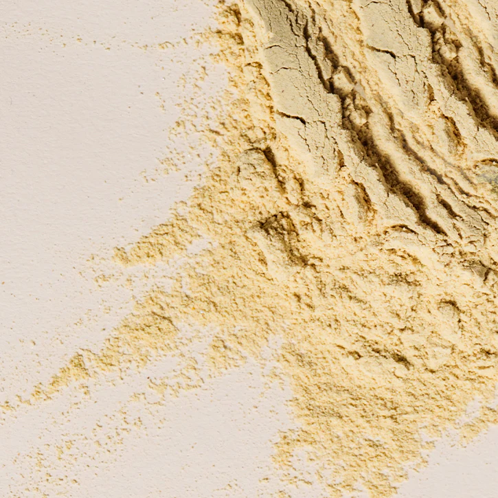 Nourishing Protein - Image 17