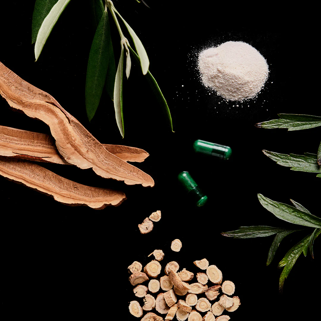 The Immune Elixir - Image 4